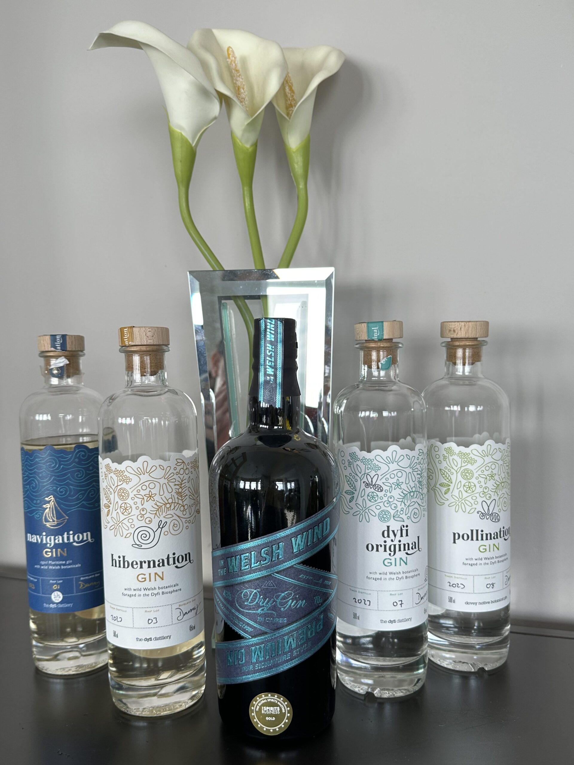 Dyfi Welsh Gin